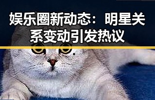 娱乐圈新动态:明星关系变动引发热议
